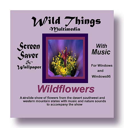 Wildflower Screen Saver Cover