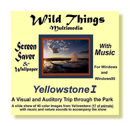 Yellowstone screen saver Cover
