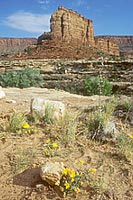 Southern Utah