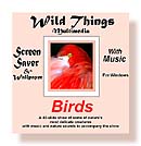Bird SS
