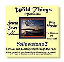 Yellowstone SS