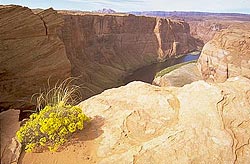 Horseshoe Bend, AZ
