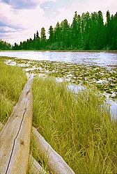 Lost Lake, Yellowstone NP