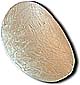 gold reflector