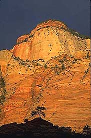 zion