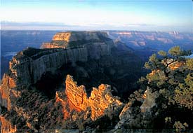 polarizer example