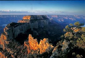 polarizer example